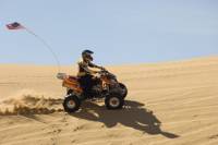 Dubai Desert Afternoon Quad Safari with Camel Ride, BBQ Dinner and Belly Dancing