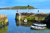 Dublin Coastal Highlights with James Joyce Towers and Castles Tour