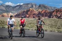 Red Rock Canyon Electric Bike Half-Day Tour