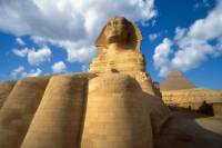 Egypt Highlights from Marsa Alam
