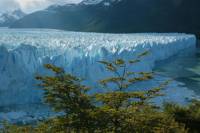 El Calafate City Tour