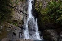 El Yunque Rainforest and Bioluminescent Bay Kayaking Combo Tour