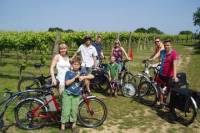 Electric Bike Hire in Kent
