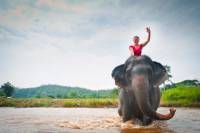 Elephant Trail Expedition from Luang Prabang
