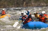 Elephant Trekking and White-Water Rafting Adventure from Krabi