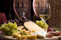 Emilia-Romagna Wine and Olive Oil Tastings Including Majolica Pottery Tour
