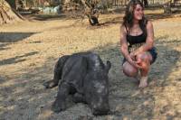 Endangered Wildlife Tour from Hazyview