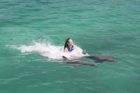 Excellence Dolphin Swim in Punta Cana