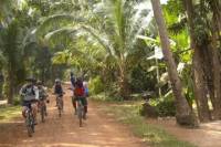 Exploring Siem Reap's Countryside by Bicycle