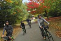 Fall Foliage Bike Ride in Boston