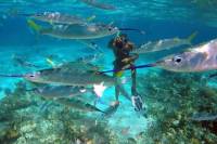 Falmouth Shore Excursion: Doctor's Cave Beach and Snorkeling Private Tour