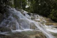 Falmouth Shore Excursion: Dunn's River Falls and Ocho Rios Shopping Tour