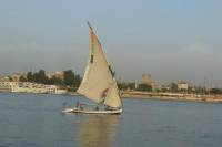 Felucca Day Cruise in Luxor