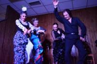 Flamenco Show with Dinner and Workshop