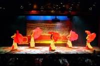 Flamenco Show with Optional Dinner and Transport from Costa Brava
