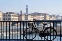 Florence and Tuscany Bike Tour Including Lunch