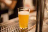 Florence Beer Tasting and Walking Tour