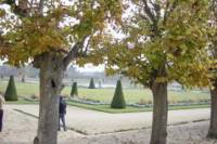 Fontainebleau and Barbizon Half-day Tour with Japanese Guide