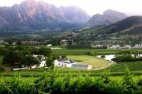 Franschhoek Cape Fold Mountain Hike from Cape Town