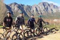 Franschhoek Valley Wine and Bike Tour from Cape Town