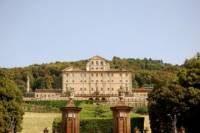 Frascati Wine Tasting Tour from Rome