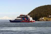 Friday Harbor Day Trip & Whale Watching from Seattle