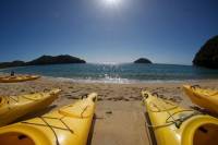 Full-Day Abel Tasman Kayak and Walk