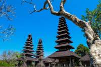 Full-Day Bali Sightseeing Tour to Bedugul with Sunset at Tanah Temple