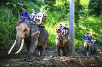 Full Day Elephant Ride and Rafting Adventure Combo from Chiang Mai