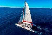 Full-day Excursion to Hvar Pakleni Islands and Brac from Split