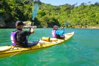 Full-Day Guided Sea Kayak Trip from Picton