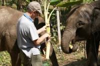 Full-Day Mahout's Life Experience