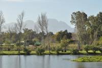 Full-Day Photoshoot Experience on the Spier Wine Estate with Wine Tasting