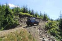 Full-Day Private Tour of the Carpathian Mountains from Bucharest
