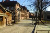 Full-Day Private Tour to Auschwitz from Wroclaw