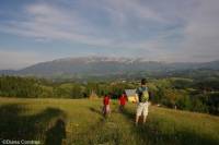 Full-Day Private Walking Tour in the Carpathian Villages from Bucharest
