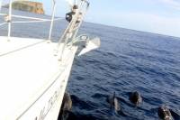 Full-Day Sailing Trip Including Lunch