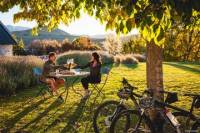 Full Day Self-Guided Bike Tour of the Wineries