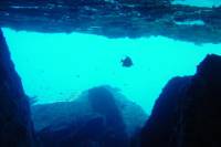 Full-Day Similans Scuba Diving from Phuket