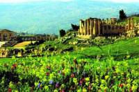 Full Day Small Group Tour to Jerash with Amman Panoramic