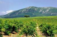 Full-Day Tour to Arrábida from Lisbon
