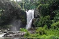 Full-Day Ubud Tour