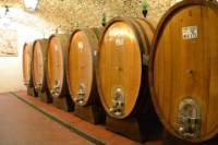 Full-Day Wine Tour from Bologna