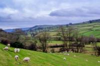 Full-Day Yorkshire Dales Tour from York in Winter