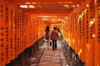 Fushimi Inari and Sake Brewery Tour