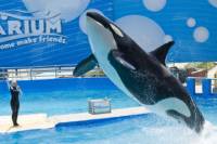 General Admission to the Miami Seaquarium