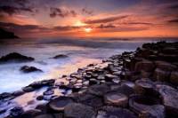 Giant's Causeway Guided Day Tour from Belfast