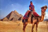 Giza, Saqqara and Memphis: Guided Day Tour from Cairo