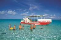 Glass-Bottom Boat Tour to Stingray City