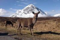 Glencoe, Loch Ness and The Highlands Tour from Edinburgh